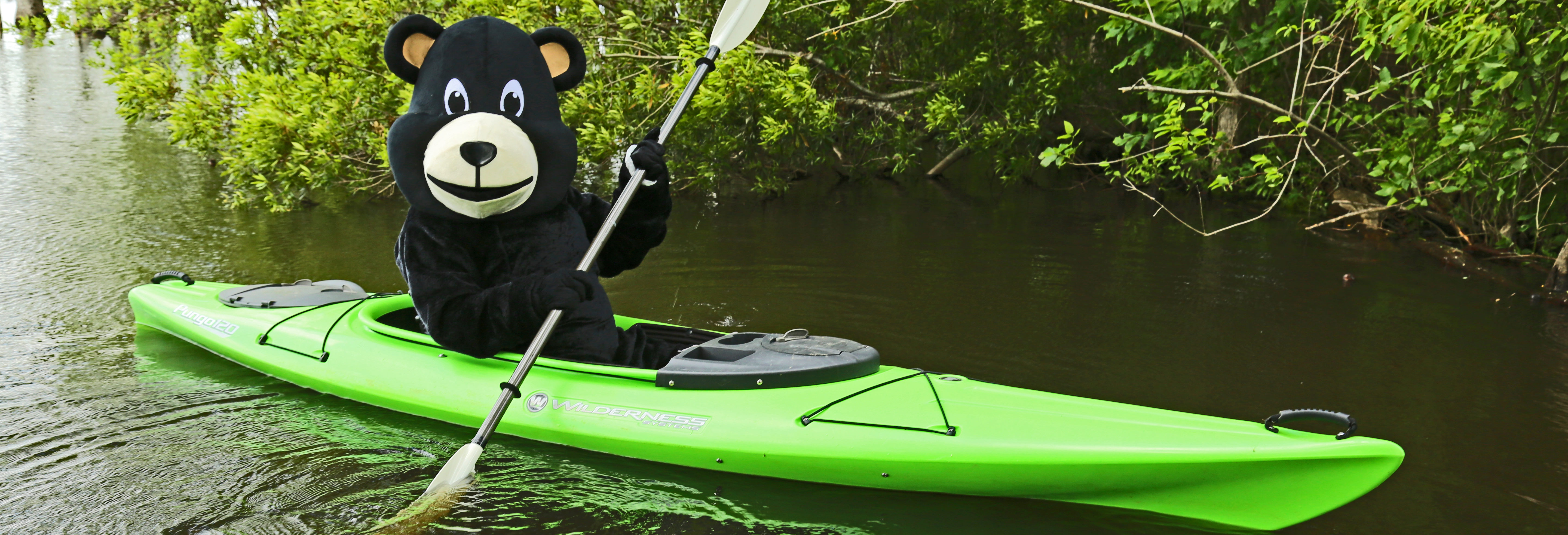 Bear Necessities Paddle